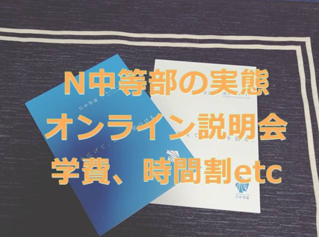 N中等部を詳しく説明