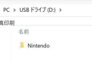 MicroSDカード内のNintendoフォルダ