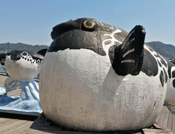 海響館はふぐで有名