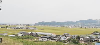 道の駅うきはの田園風景